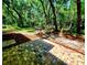 Paved patio area adjacent to a lush backyard with mature trees at 3529 Tanglewood Trl, Palm Harbor, FL 34685