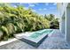 A backyard pool features cool, blue tile, and lush greenery for privacy at 3905 W San Obispo St, Tampa, FL 33629