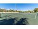 Community tennis courts surrounded by lush greenery and palm trees at 4900 Brittany S Dr # 811, St Petersburg, FL 33715