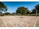 Outdoor basketball court with clear markings and hoops, set against a backdrop of trees at 833 Lakeside Ter, Palm Harbor, FL 34683