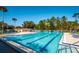 Community pool featuring an Olympic-sized lap pool and ample lounge chairs for residents at 833 Lakeside Ter, Palm Harbor, FL 34683