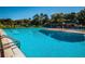 Bright and spacious swimming pool with plenty of lounge chairs under a clear blue sky at 833 Lakeside Ter, Palm Harbor, FL 34683