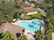 Aerial view of a community pool with inviting lounge chairs, sun umbrellas, and mature trees creating a resort-like ambiance at 10013 Caraway Spice Ave, Riverview, FL 33578