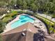 Aerial view of a community pool with ample seating, and surrounded by meticulously maintained landscaping and mature palm trees at 10013 Caraway Spice Ave, Riverview, FL 33578