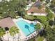 Aerial shot of a pristine community pool surrounded by palm trees and lounge chairs, perfect for relaxation at 10013 Caraway Spice Ave, Riverview, FL 33578