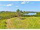 Large backyard featuring a well-maintained lawn, mature palm trees, and scenic lake views for ultimate relaxation at 1015 S Pointe Alexis Dr, Tarpon Springs, FL 34689