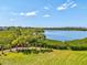 Lush backyard featuring pristine lawn, mature trees, and serene lake views, perfect for outdoor enjoyment at 1015 S Pointe Alexis Dr, Tarpon Springs, FL 34689