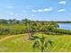 Beautiful backyard with grassy area, palm trees, and water view on a sunny day at 1015 S Pointe Alexis Dr, Tarpon Springs, FL 34689