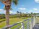 Lush backyard view with palm trees, greenery, and a distant water view from the patio at 1015 S Pointe Alexis Dr, Tarpon Springs, FL 34689