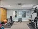 Well-equipped gym with weights, machines, mirrors, and storage cabinets at 1015 S Pointe Alexis Dr, Tarpon Springs, FL 34689