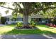 Inviting front yard showcasing a mature shade tree, colorful landscaping, and a charming home facade at 12021 144Th St, Largo, FL 33774