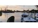 Picturesque marina scene with boats docked, showcasing waterfront living and boating opportunities for residents at 1747 Wood Brook St, Tarpon Springs, FL 34689