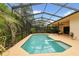 Backyard pool with screened-in enclosure and lush tropical landscaping at 1831 Stable Trl, Palm Harbor, FL 34685