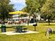 Inviting picnic area with grill, covered table, and benches surrounded by lush green trees offering a relaxing outdoor space at 2021 Shangrila Dr # 14, Clearwater, FL 33763