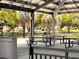 Outdoor picnic area with multiple tables and barbecue grills, perfect for community gatherings at 2021 Shangrila Dr # 14, Clearwater, FL 33763