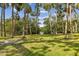 A tranquil community park with tall palm trees, green grass, and natural beauty at 2710 N Dundee St, Tampa, FL 33629