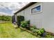 A lovely side yard with a beautiful garden and well-maintained grass at 2826 Riders Pass, Odessa, FL 33556