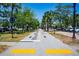 Street with designated bike lanes, street parking, and lush, mature trees at 320 Crosswinds Dr, Palm Harbor, FL 34683