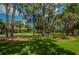 View of the grassy grounds and trees draped with Spanish moss, creating a peaceful atmosphere at 4452 Bardsdale Dr, Palm Harbor, FL 34685