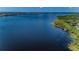 Scenic aerial view of a deep blue lake surrounded by lush greenery and distant city skyline, offering serene waterfront living at 4452 Bardsdale Dr, Palm Harbor, FL 34685