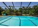 Beautiful pool area enclosed by a screen, with lush landscaping around the perimeter at 4452 Bardsdale Dr, Palm Harbor, FL 34685