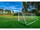 Enjoy the community soccer field for games and recreation with lush grass and blue skies at 4452 Bardsdale Dr, Palm Harbor, FL 34685