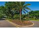 The street features a landscaped median with lush greenery and mature trees at 4452 Bardsdale Dr, Palm Harbor, FL 34685