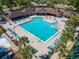 Aerial view of the community pool with lots of seating and surrounded by mature palm trees at 518 Royal Ridge St, Valrico, FL 33594
