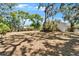 Expansive backyard with mature trees offers a serene outdoor space for relaxation and recreation at 5603 Palmetto Rd, New Port Richey, FL 34652