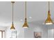 Elegant brass pendant lights illuminate this modern kitchen, enhancing its stylish design at 5865 Creek Ridge Rd, Brooksville, FL 34601
