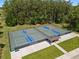 Aerial view of community pickleball courts, featuring multiple well-maintained courts surrounded by wooded landscaping at 5865 Creek Ridge Rd, Brooksville, FL 34601