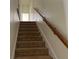Carpeted stairs leading upwards with a wooden handrail at 6405 Osprey Lake Cir, Riverview, FL 33578