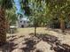 Shot of the dry, open backyard and the home, framed by various trees that provide shade and privacy at 705 Cypress St, Tarpon Springs, FL 34689