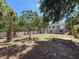 Home exterior view, with a dry, open backyard, framed by palm trees and lush greenery at 705 Cypress St, Tarpon Springs, FL 34689