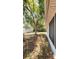 Spacious backyard with large trees providing shade, perfect for outdoor entertaining and relaxation at 7734 Judith Cres, Port Richey, FL 34668