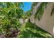 A side yard with a green lawn, mature trees, and a privacy fence under a clear blue sky at 8211 Canyon Creek Way, Tampa, FL 33647