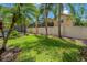 A lush backyard featuring palm trees, a well-maintained lawn, and privacy fencing at 8211 Canyon Creek Way, Tampa, FL 33647