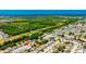 Overhead view of neighborhood featuring lush landscaping, mature trees and blue ocean backdrop at 1408 Dartmouth Dr, Holiday, FL 34691