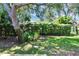 Private backyard featuring mature trees, lush greenery, and a well-maintained lawn at 15724 Ibisridge Dr, Lithia, FL 33547