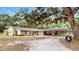 Charming single-story home with a large oak tree, spacious driveway, and unique carport at 1641 Thompson Rd, Lithia, FL 33547