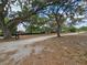 Scenic view of the property grounds featuring mature trees, a tire swing, and a long driveway at 1641 Thompson Rd, Lithia, FL 33547