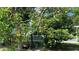 Lush avocado tree laden with fruit, enhancing the property's natural beauty and appeal at 16505 Lake Heather Dr, Tampa, FL 33618