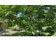 Backyard features a lush fruit tree offering shade and beautiful greenery at 16505 Lake Heather Dr, Tampa, FL 33618