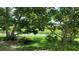 Peaceful backyard scene with mature trees and ducks enjoying the shade at 16505 Lake Heather Dr, Tampa, FL 33618