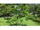 Well-maintained front yard features a beautiful young tree, offering a serene landscape at 16505 Lake Heather Dr, Tampa, FL 33618