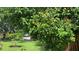 Lush green front yard with mature trees providing shade, enhancing curb appeal at 16505 Lake Heather Dr, Tampa, FL 33618
