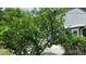 Beautiful landscaping featuring lush greenery and well-maintained bushes near the home at 16505 Lake Heather Dr, Tampa, FL 33618