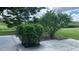 Relaxing patio area with lush landscaping and mature trees offering privacy at 16505 Lake Heather Dr, Tampa, FL 33618
