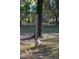 An interesting bird feeder post in a wooded area at 16536 Caldwell Ln, Spring Hill, FL 34610