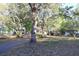 Lush yard surrounded by mature trees, creating a private and tranquil outdoor space at 16536 Caldwell Ln, Spring Hill, FL 34610